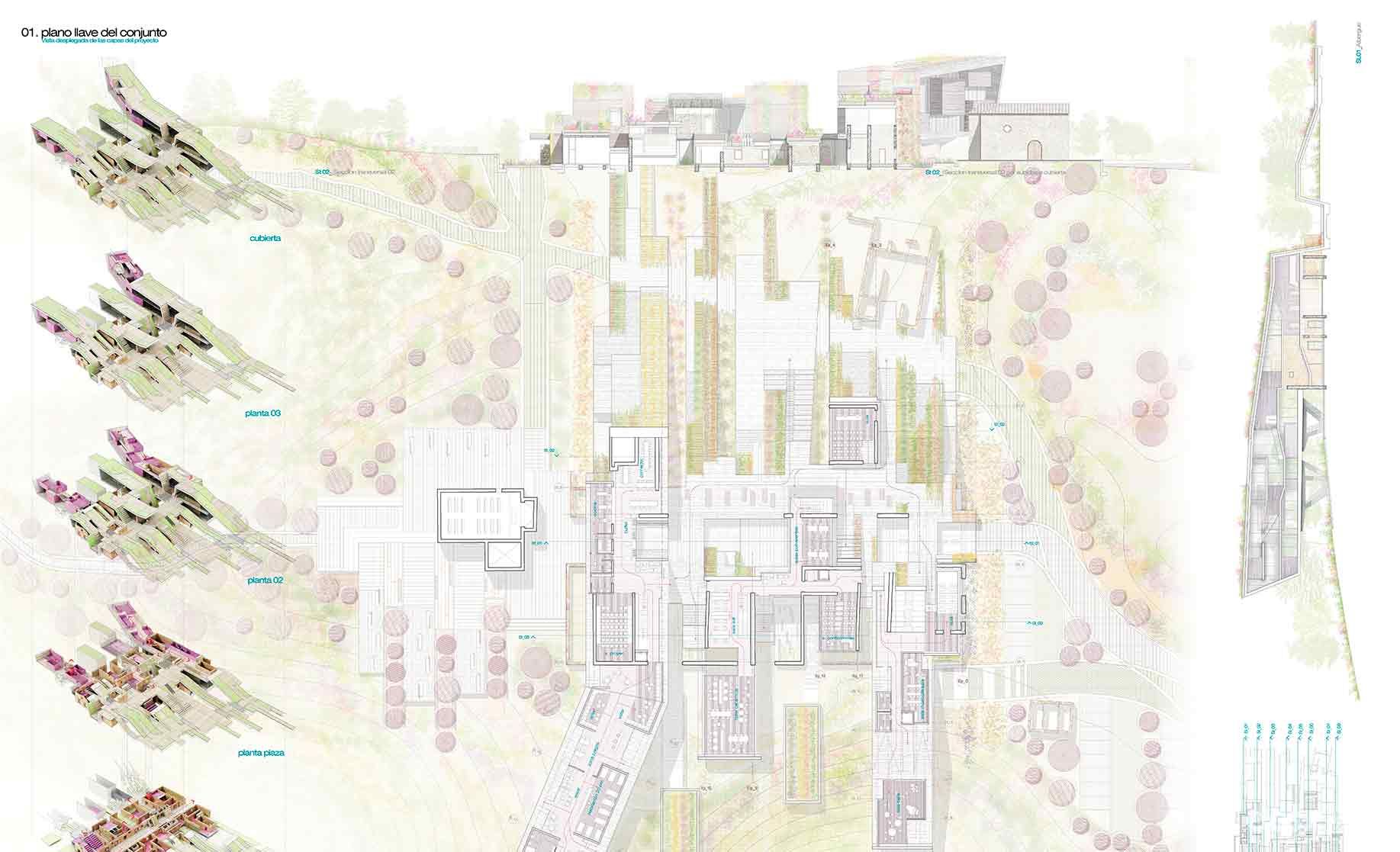 Oreja Coaching Group